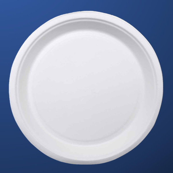 Bagasse Paper Plate