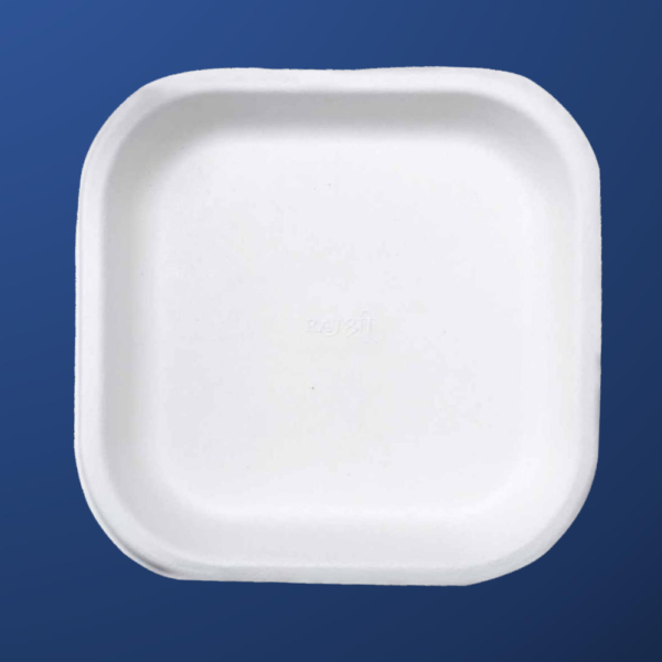 Bagasse Paper Plate