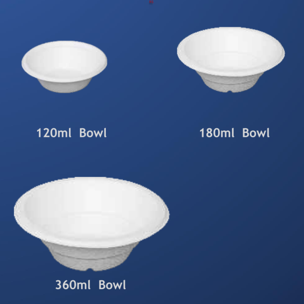 Paper Bowl