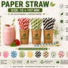 Paper Straw 10×197