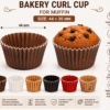 Bakery Curl Cup 44×35